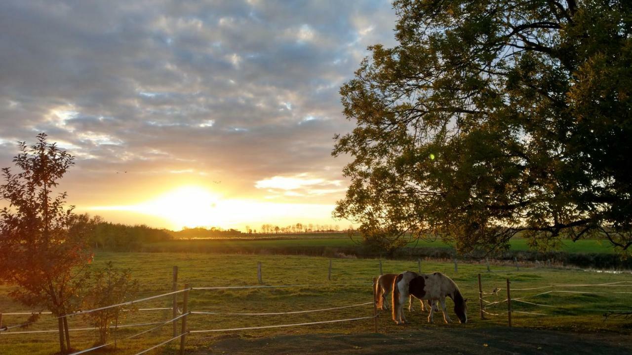 Appartement Im Stall "Lune River Ranch" Loxstedt Buitenkant foto